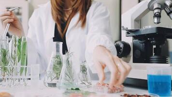 A woman in a lab coat is working on a project video