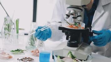 A person in a lab coat is looking at food video