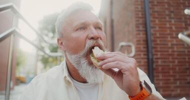 A man with a beard eating a sandwich video