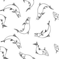 Trout black white seamless pattern. Salmon monochrome sketch hand drawn. Nerka swimming fish painted linear on repeat background. Variety sockeye in graphic for package, textile, wrapping paper vector
