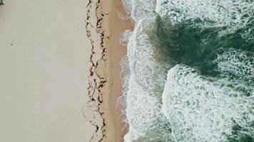 The drone rises above the seashore, washed by foam waves, a lot of algae on the shore video