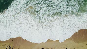 The drone rises above the seashore, washed by foam waves, a lot of algae on the shore. A man walks on the beach video