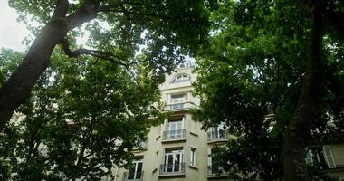 le façade de un vieux Résidentiel bâtiment avec grand les fenêtres, à la recherche par le dense vert couronnes de des arbres sur une ensoleillé été journée. France Paris. 4k , rouge Komodo video