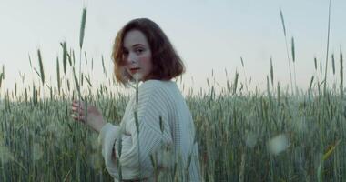 A young red-haired woman turns her head and looks directly into the camera while standing among tall ears in a wheat field. 4k , red komodo video