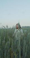 Romantic shooting in a wheat field in the evening. A young red-haired woman with a short haircut walks through the field among high ears. 4k, vertical , red komodo video