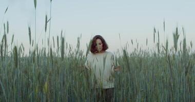 A romantic young woman of European appearance, dressed in a white sweater with a pensive look, walks through a wheat field among the ears and looks at the camera. in the evening, 4k, red komodo video