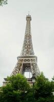 fondo ver de el eiffel torre en un soleado verano día. aguja reconstrucción. Francia París. 4k vertical , rojo komodo video