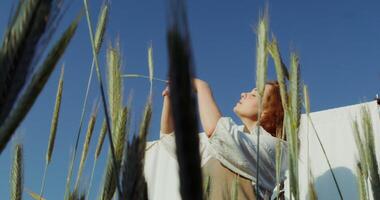 A young beautiful woman is dancing, smoothly moving her hands and closing her eyes in enjoyment in a wheat field among the ears on a sunny summer day. 4k , red komodo video