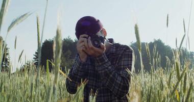 A young man takes photos with a camera, standing between ears of wheat in an agricultural field on a summer sunny day. 4k , red komodo video