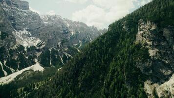 Aerial view of the mountains and trees in the alps video