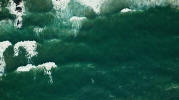 An aerial view of waves crashing into the ocean video