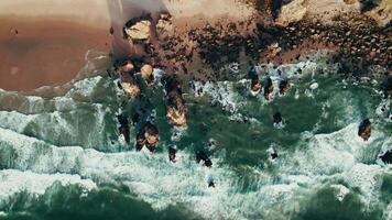 An aerial view of the ocean and rocks video
