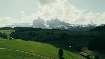 A green field with a mountain in the background video