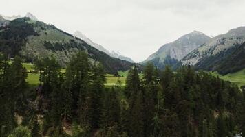 The drone rises from behind the trees, revealing beautiful panoramic view of high mountain valley with a village in the lowland. The peaks of the rocky Alpine mountains are covered with snow. Austria video