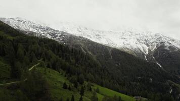 Alpine valley with gentle slopes overgrown with dense spruce forest and rocky peaks covered with snow. Drone , Austria video