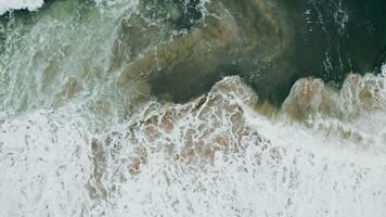 Top view of the sea waves washing the sandy beach, algae at a distance from the shore make the water black. Drone video