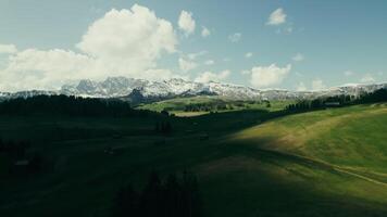 A green field with a mountain in the background video