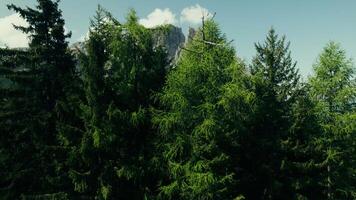 A view of the mountains from above video