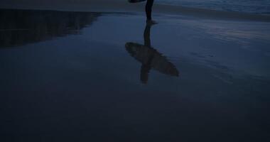 A surfer with a board in his hands stands on the seashore at dusk, reflected in the water on the shore video
