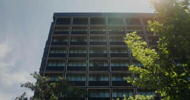 The facade of a city building located behind the green crowns of trees, on a clear summer day video
