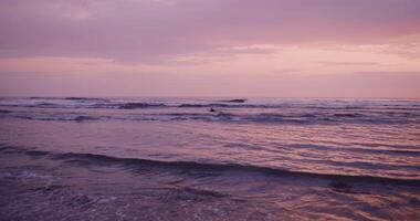 A man is floating on the sea lying on a surfboard. Sea waves in the rays of the setting sun video