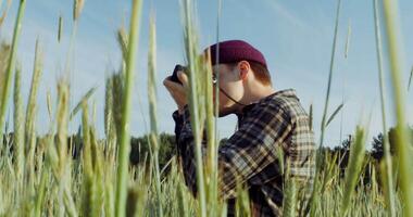 A young stylishly dressed man takes photographs with a film camera while squatting among wheat ears in an agricultural field on a summer sunny day. 4k , red komodo video