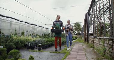 Two people walking through a garden center with plants video