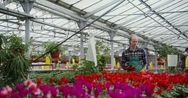 A man in a greenhouse with flowers video