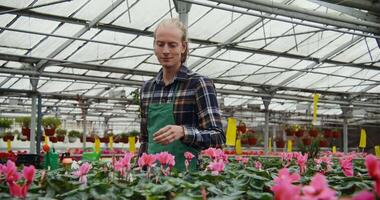 A man in a green apron is working in a greenhouse video