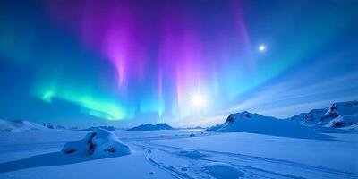 Spectacular Aurora Borealis Displays Over a Snowy Arctic Landscape View photo