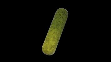 Pickle Rotating on a Transparent Background. Seamless Loop. Vegetable 3D. 4K video