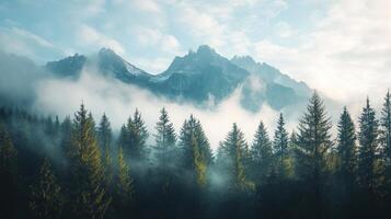 Pine Tree Forest Enshrouded in White Fog with Snow Covered Mountain Peaks Under a Clear Sky in Tranquil Wilderness photo