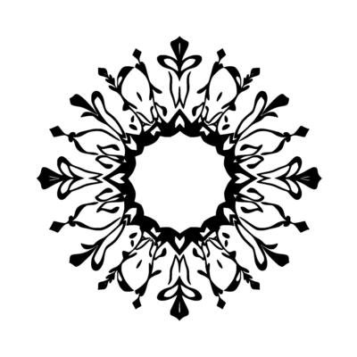 Symmetrical, Black and White Floral Mandala with Organic, Leafy Elements Radiating from a Central Circle Against a Plain Background.