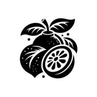 Monochromatic Illustration of Citrus Fruits, Leaves, and Sliced Orange Segment, Minimalist on White Background. vector