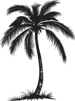 Standing Palm Tree with Low-Hanging Fronds An erect trunk featuring gracefully drooping leaves, adding a delicate touch. Full-length silhouette black artwork. vector