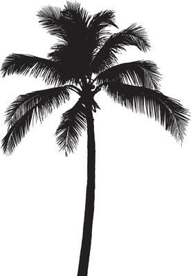 Sunset Palm Tree A towering trunk standing tall with fronds extended, silhouetted against a vibrant sunset. Full-length silhouette black design.