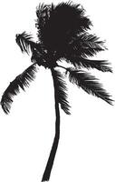 Palm Tree in a Breeze Trunk standing tall, with fronds slightly angled as if gently blown by the wind. full length silhouette black illustration vector