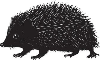 Hedgehog on an Adventure Body in motion, cautiously sniffing its surroundings while displaying a curious and alert stance. Full-length silhouette black design. vector