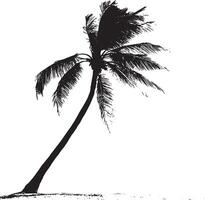 Tilted Palm Tree A trunk that leans gently to one side, with fronds extending from the top at a diagonal angle. Full-length silhouette black design. vector