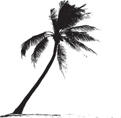 Tilted Palm Tree A trunk that leans gently to one side, with fronds extending from the top at a diagonal angle. Full-length silhouette black design.