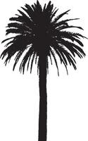 Palm Tree Standing Tall A single upright trunk with fronds extending outward at the top, reaching for the sky. full length silhouette black illustration vector