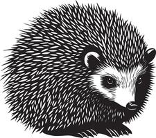 Hedgehog in a Defensive Position Body tightly rolled into a ball with spines protruding outward, shielding itself from potential threats. Full-length silhouette black design. vector