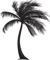 Palm Tree with Windblown Fronds Trunk upright with fronds bending and swaying in the wind, creating a curved shape. full length silhouette black illustration vector