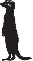 Alert Meerkat Posture A silhouette of a meerkat with its body erect, front legs lifted, and head directed towards an unusual sound or potential danger. Full-length silhouette black illustration. vector