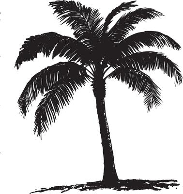 Palm Tree with Curved Trunk Trunk bending gracefully to one side, with fronds arching outward at the top. full length silhouette black illustration