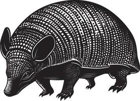 Armadillo in a Defensive Body rolled tightly into a ball, with its armored shell shielding the delicate underside. Full-length silhouette black design. vector