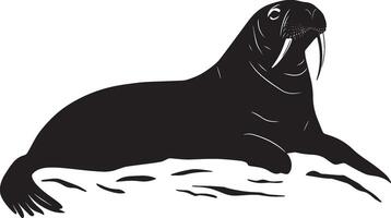 A silhouette of a walrus lying on a rock or ice, tusks visible, and flippers tucked in snugly. Full-length silhouette black illustration. vector