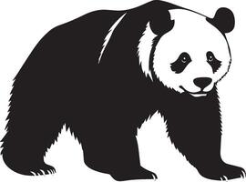 Panda Sniffing Body slightly hunched, with nose extended forward, sniffing the air or surroundings. full length silhouette black illustration vector