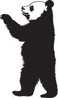 Panda in an Upright Position Body standing tall with arms extended, reaching for food or observing its surroundings. Full-length silhouette black design. vector