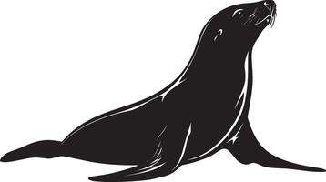 Sea Lion Moving Along the Ground Body positioned low with flippers advancing in a waddling motion as it crawls forward. Full-length silhouette black design. vector
